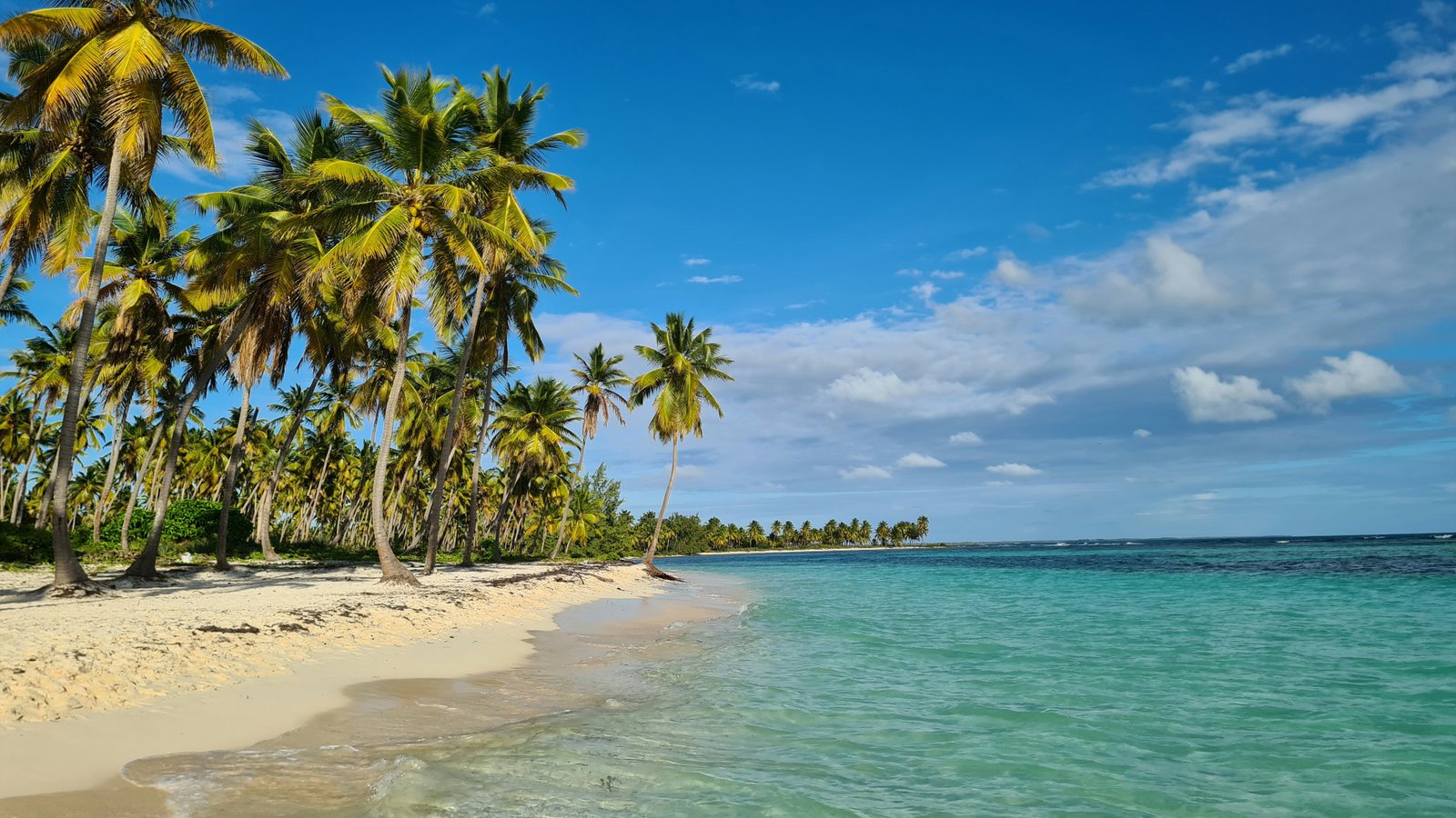 Goa Beach