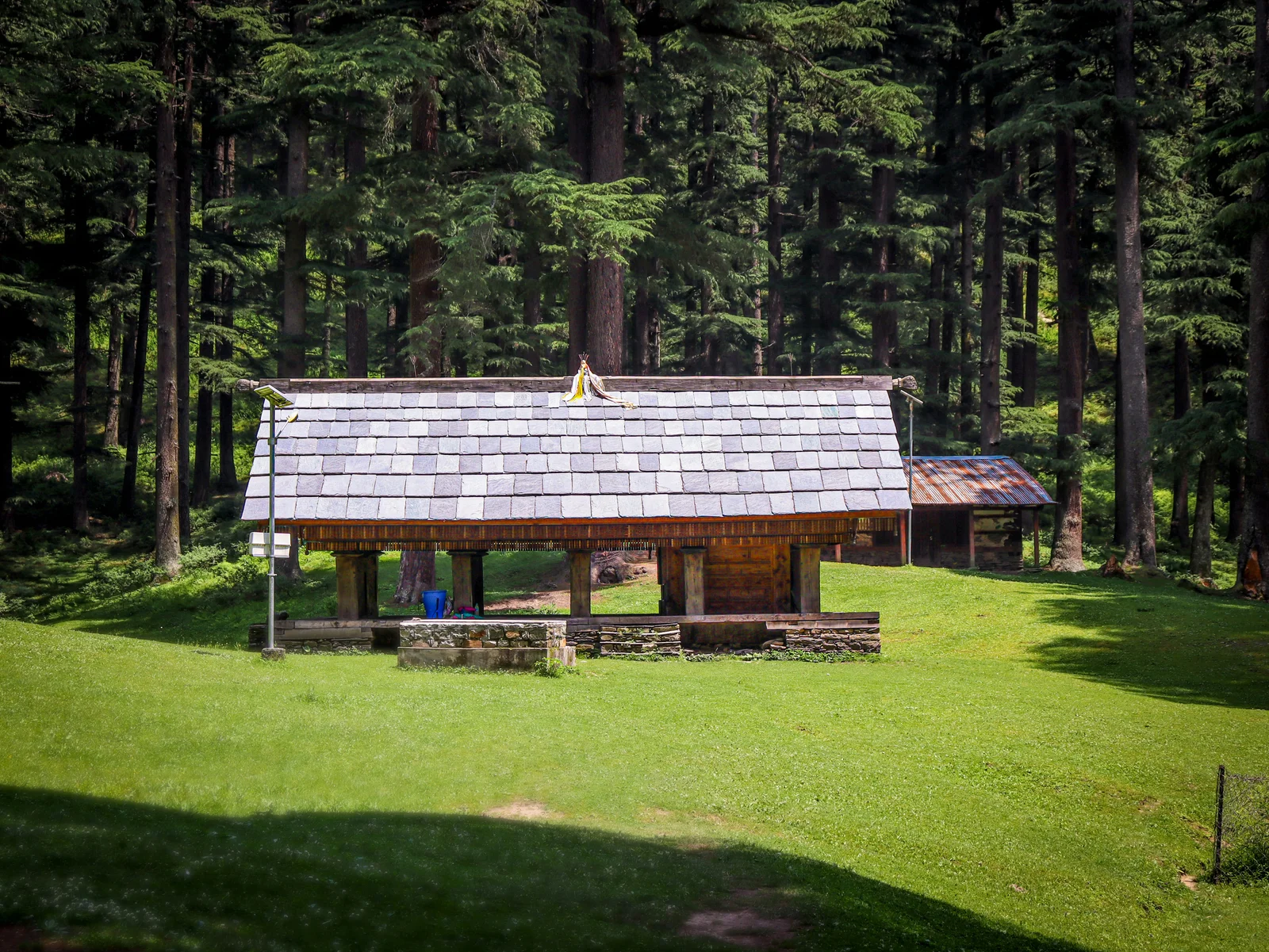 jibhi