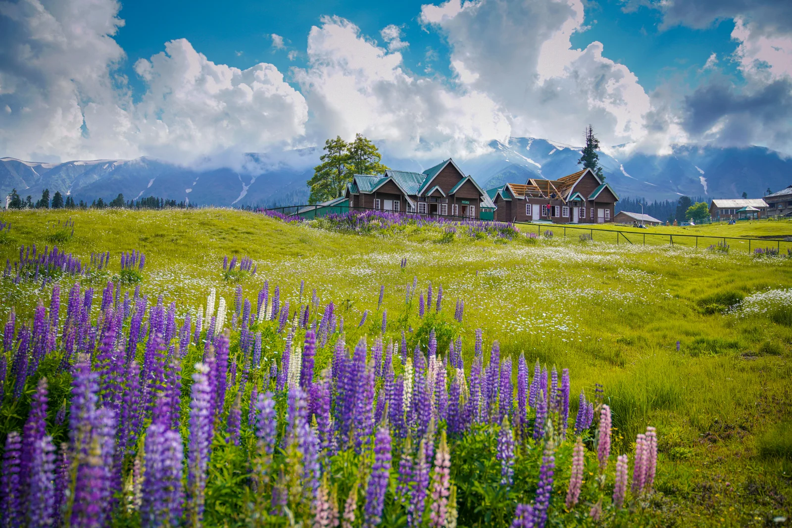 Valley of Dreams