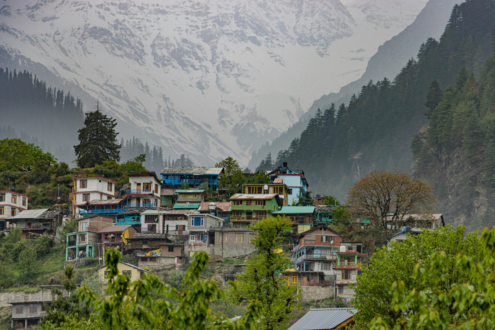 Nainital View
